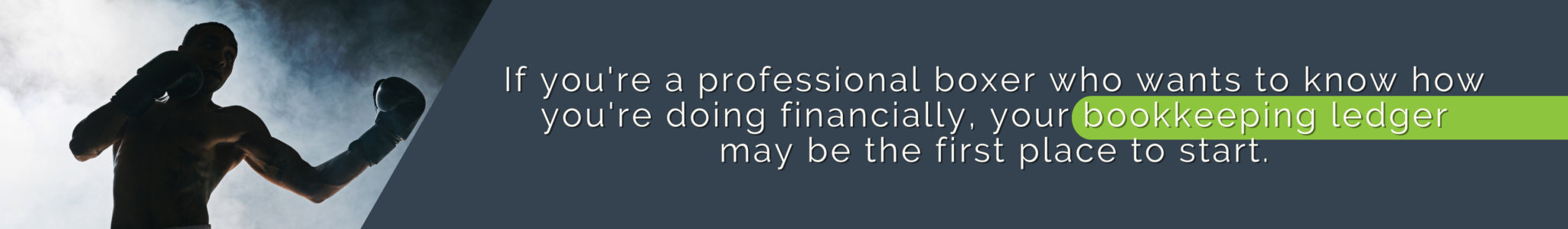 Fusion CPA-Professional boxer bookkeeping Accountant