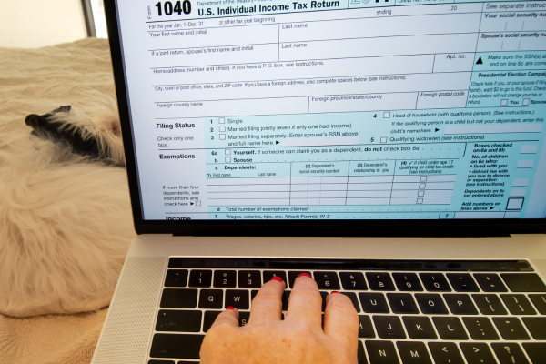 Person submitting tax return online