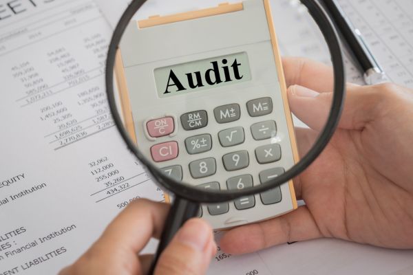 NetSuite audit functionality (1)