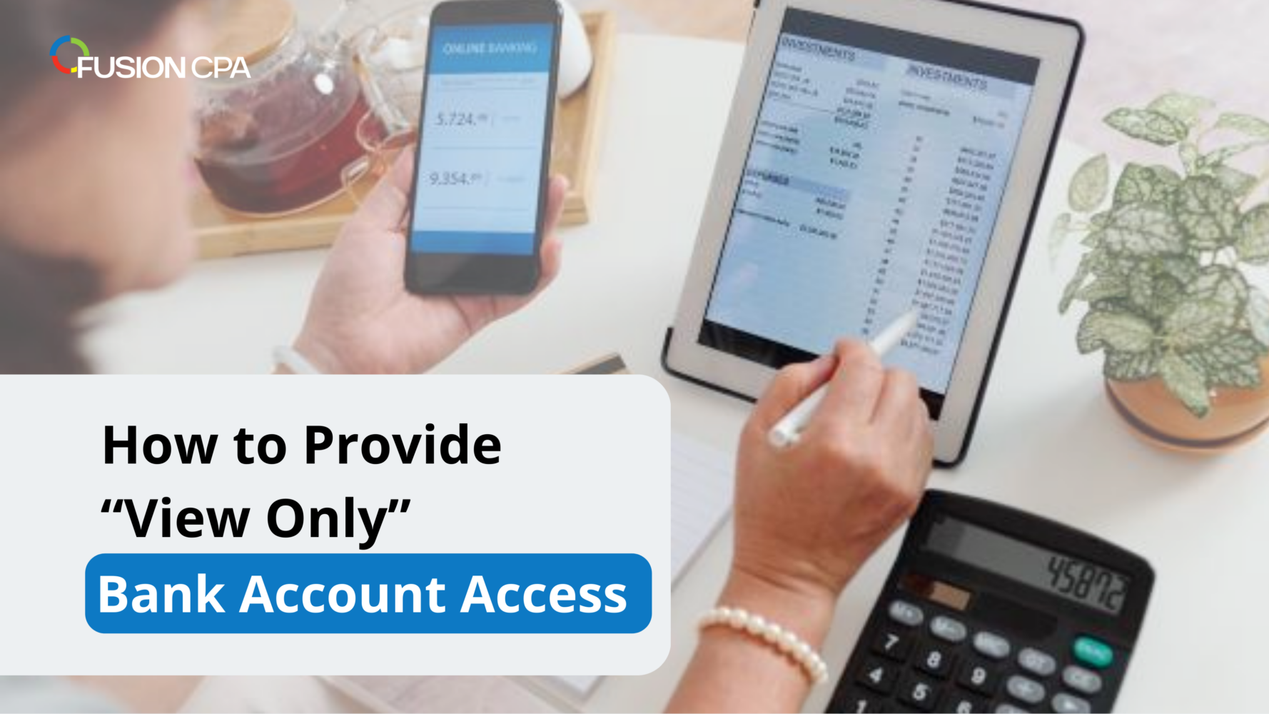 Client Guide How to Provide View Only Bank Account Access to Your Accountant